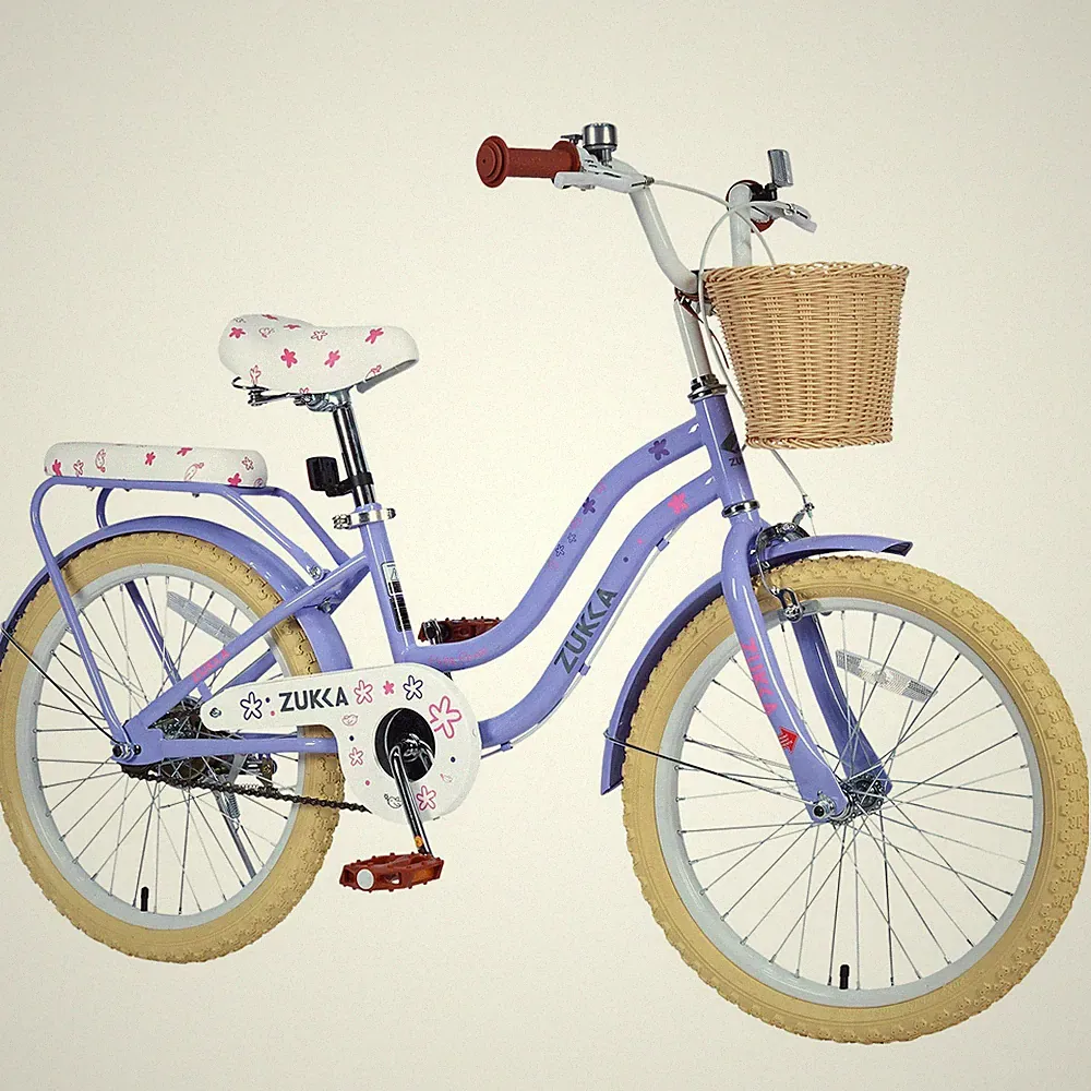 20" Inch Girls Bike Kids Bikes Girl Bicycle 20” Bikes 20 Bike for Girls,Purple