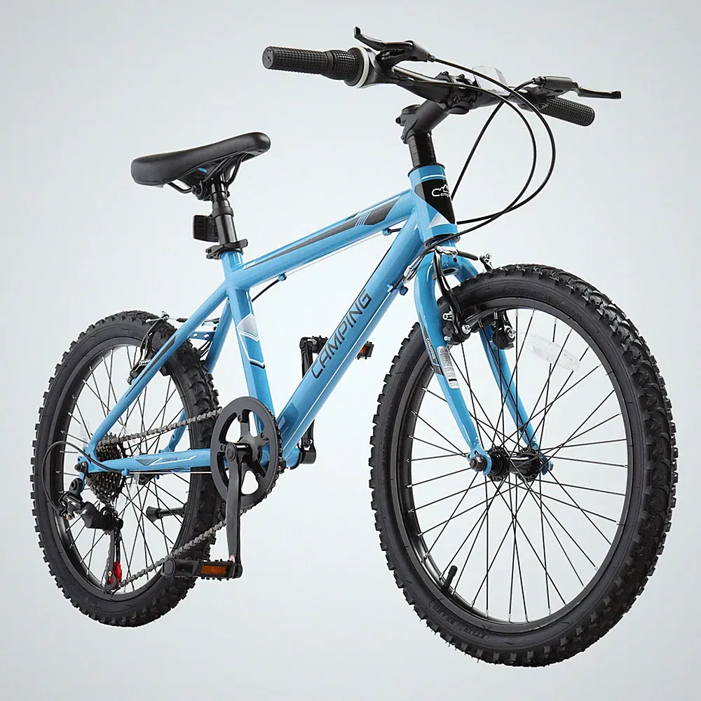20 Inch Kids Mountain Bike for Boys and Girls , 7/21-Speed Adult Bicycle