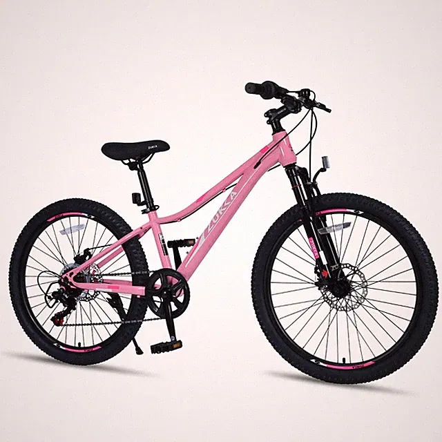 24 Inch 6-Speed Mountain Bike for Kids Boys and Girls Steel Frame Multiple Color