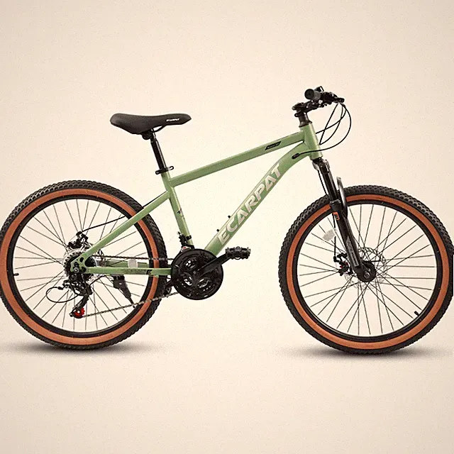 24 Inch Mountain Bike for Teenagers, Disc Brakes 21 Speed, Steel Frame​