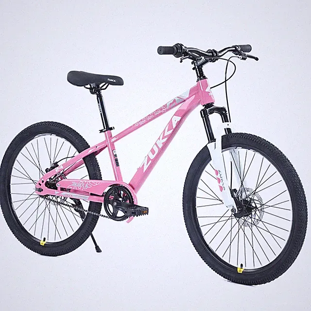 24" Mountain Bike for Boys & Girls Age 9-12, Multiple Colors
