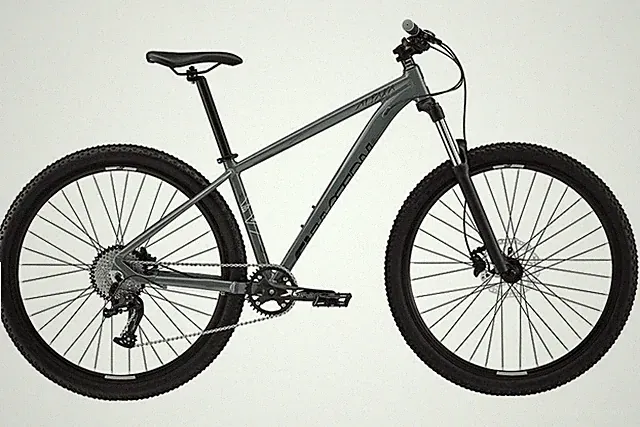 Eastern Alpaka 29 MTB Hardtail Bike - Gray