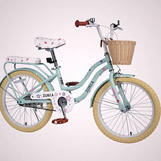 Girls Bike with Basket for 7-10 Years Old Kids,20 inch wheel ,Green