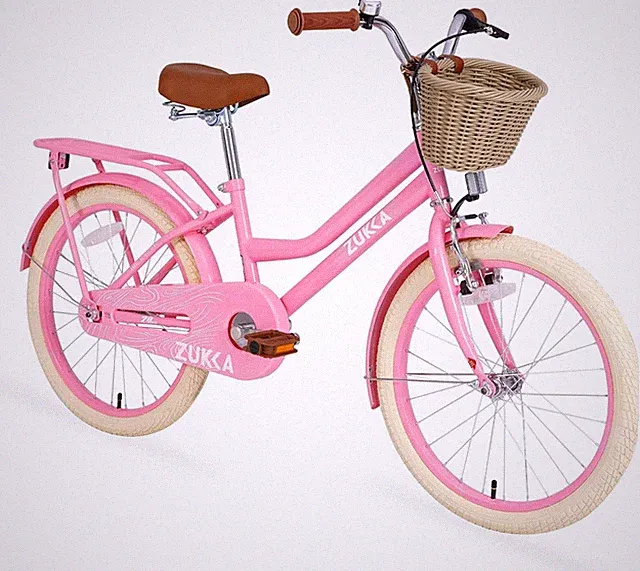 Girls Bike with Basket for 7-10 Years Old Kids,20 inch wheel ,Multiple Colors