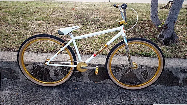 R4 Products 29 Inch BMX Cruiser