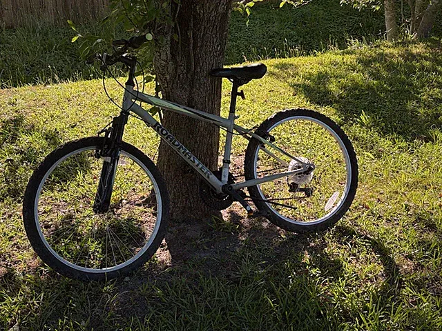 ROADMASTER R3012WMLDS Granite Peak Boys 24 inch Mountain Bike - Gray