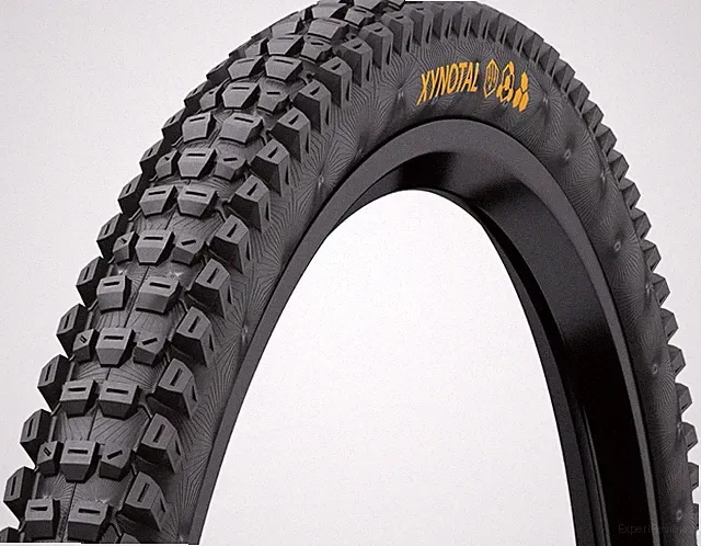 Xynotal Mountain Bike Tire - Tubeless, Folding, Black, Super Soft, Downhill Casi
